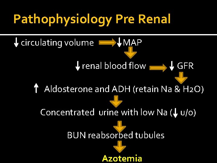 Pathophysiology Pre Renal circulating volume MAP renal blood flow GFR Aldosterone and ADH (retain