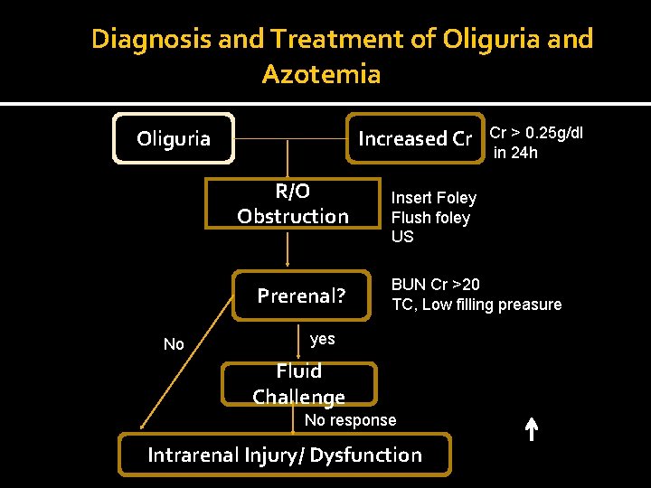 Diagnosis and Treatment of Oliguria and Azotemia Oliguria Increased Cr R/O Obstruction Prerenal? No