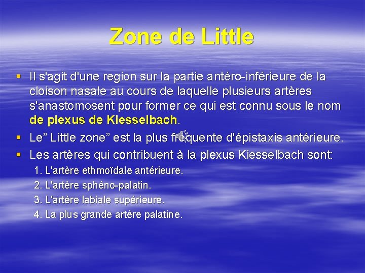 Zone de Little § Il s'agit d'une region sur la partie antéro-inférieure de la