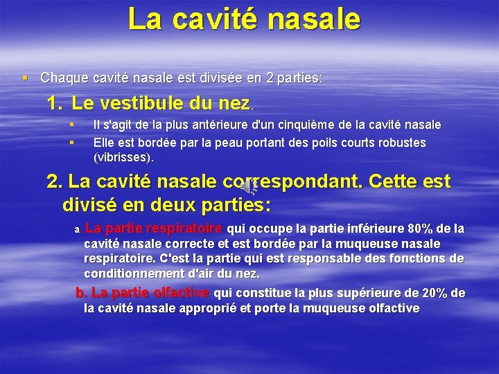 La cavité nasale § Chaque cavité nasale est divisée en 2 parties: 1. Le