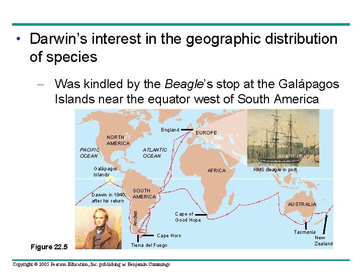  • Darwin’s interest in the geographic distribution of species – Was kindled by