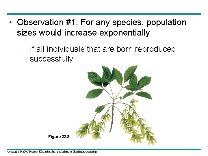  • Observation #1: For any species, population sizes would increase exponentially – If