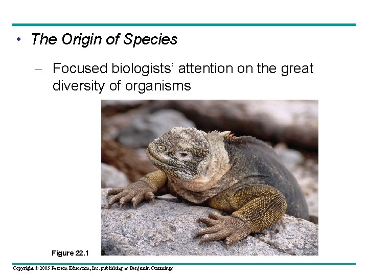  • The Origin of Species – Focused biologists’ attention on the great diversity