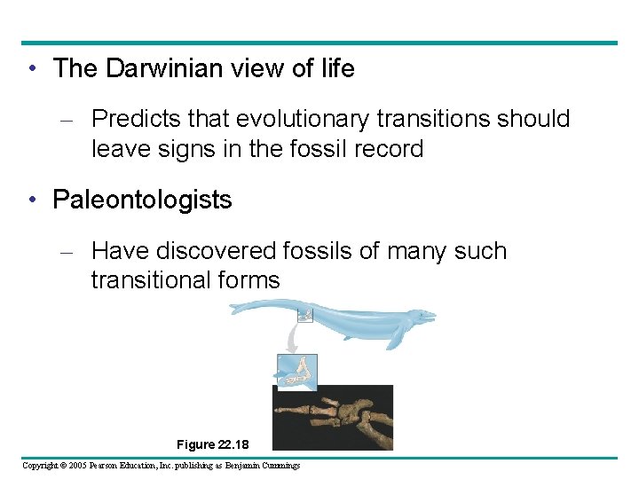  • The Darwinian view of life – Predicts that evolutionary transitions should leave