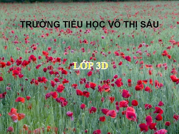 TRƯỜNG TIỂU HỌC VÕ THỊ SÁU 