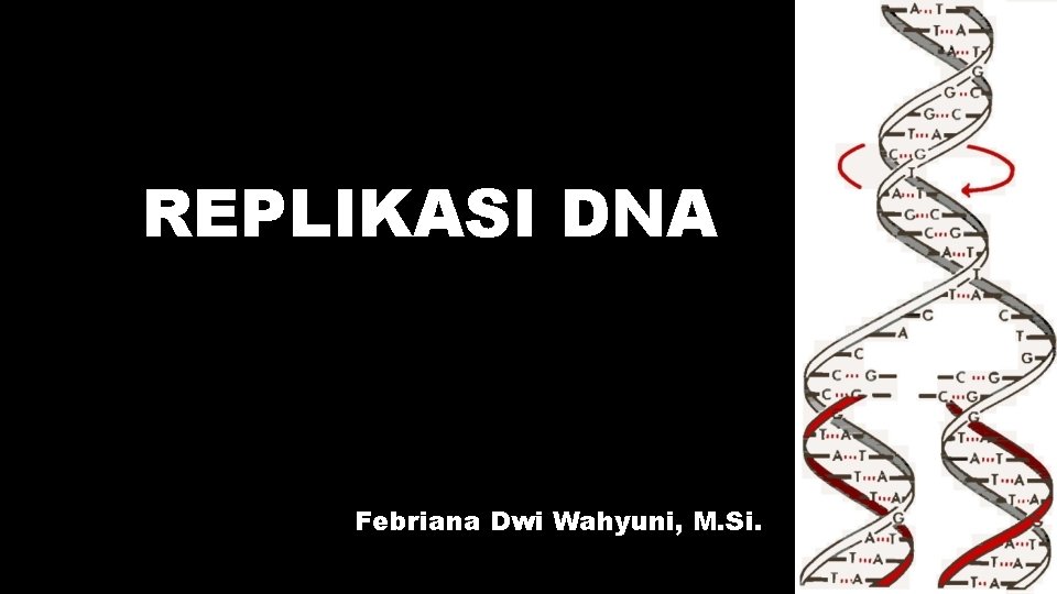 REPLIKASI DNA Febriana Dwi Wahyuni, M. Si. 