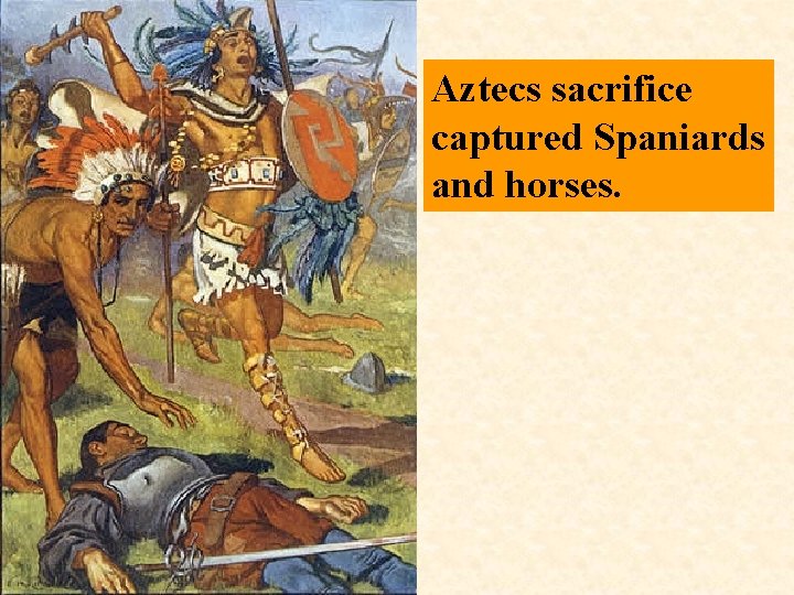 Aztecs sacrifice captured Spaniards and horses. 