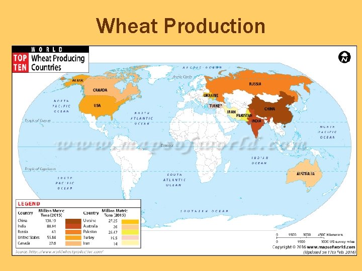 Wheat Production 