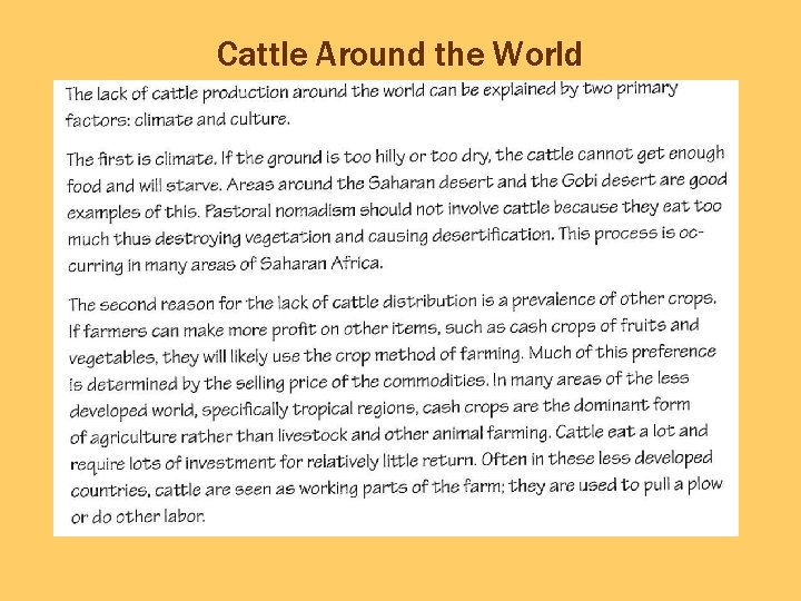 Cattle Around the World 