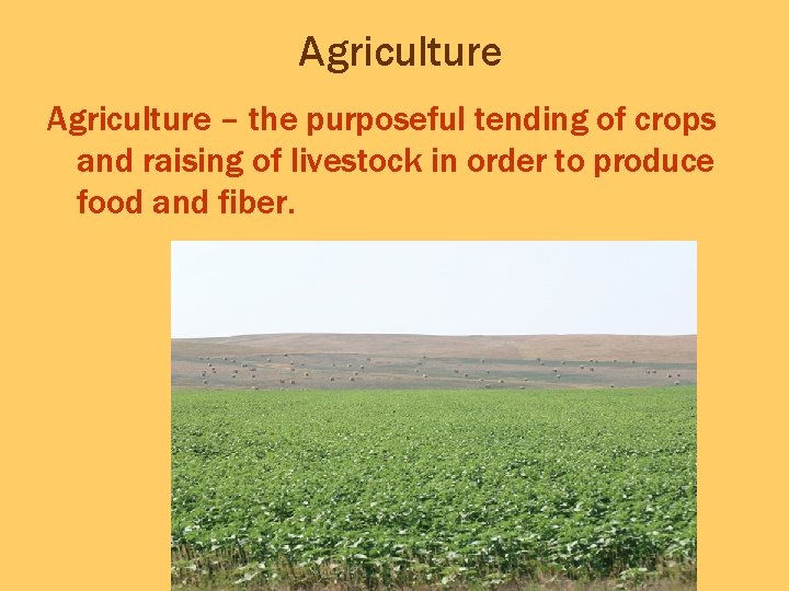 Agriculture – the purposeful tending of crops and raising of livestock in order to