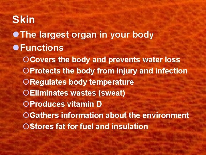 Skin l The largest organ in your body l Functions ¡Covers the body and