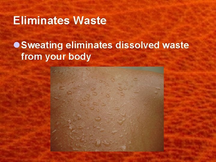 Eliminates Waste l Sweating eliminates dissolved waste from your body 