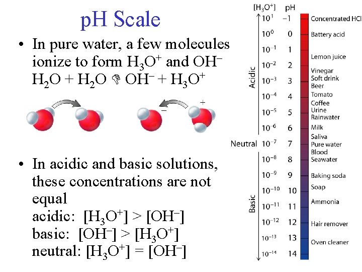 p. H Scale • In pure water, a few molecules ionize to form H