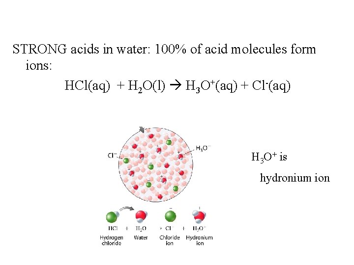 STRONG acids in water: 100% of acid molecules form ions: HCl(aq) + H 2