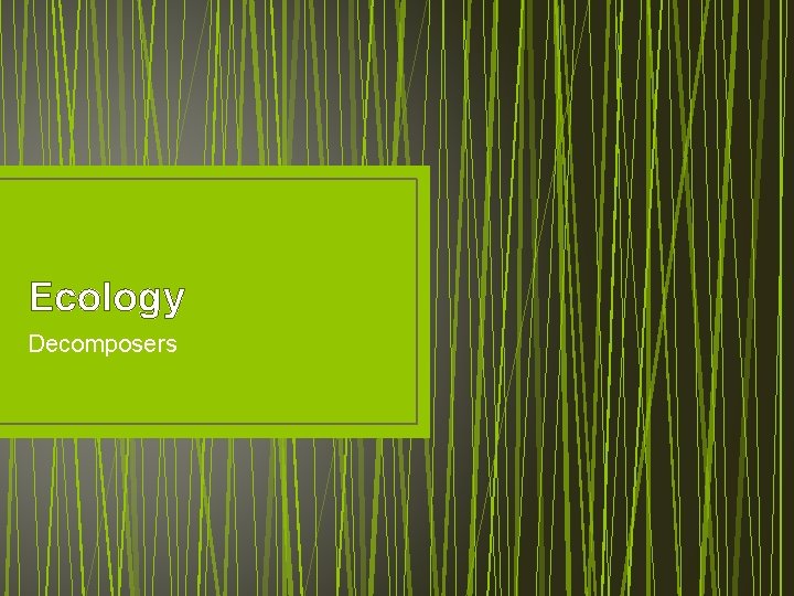 Ecology Decomposers 