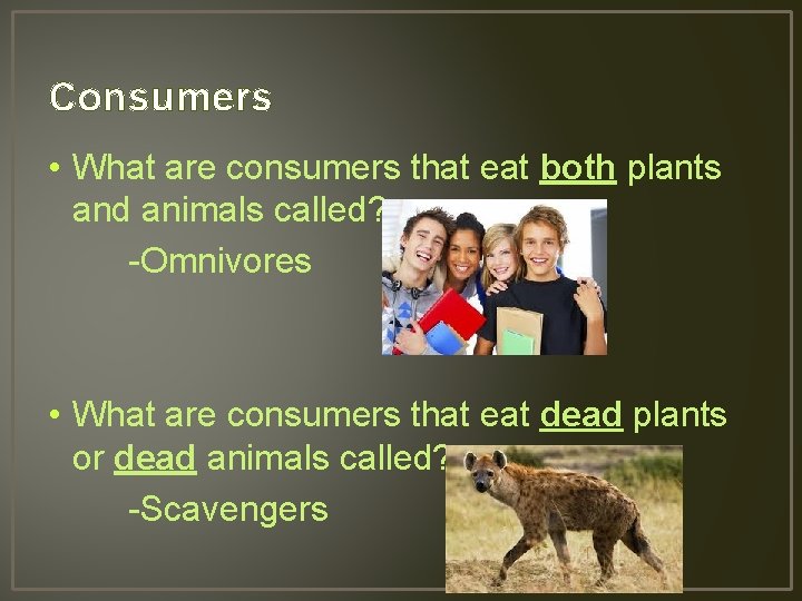 Consumers • What are consumers that eat both plants and animals called? -Omnivores •