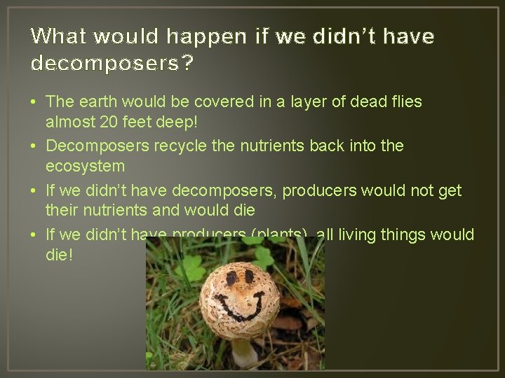 What would happen if we didn’t have decomposers? • The earth would be covered