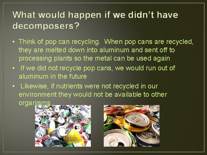 What would happen if we didn’t have decomposers? • Think of pop can recycling.