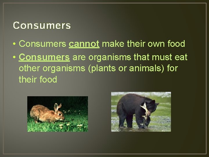Consumers • Consumers cannot make their own food • Consumers are organisms that must