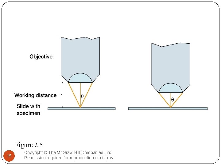 Figure 2. 5 19 Copyright © The Mc. Graw-Hill Companies, Inc. Permission required for