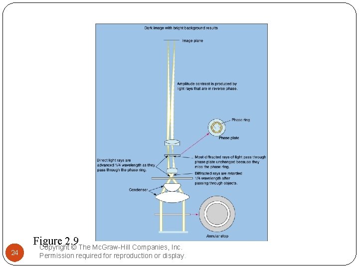 24 Figure 2. 9 Copyright © The Mc. Graw-Hill Companies, Inc. Permission required for