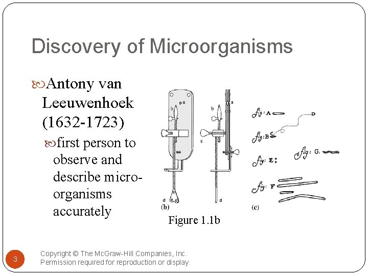Discovery of Microorganisms Antony van Leeuwenhoek (1632 -1723) first person to observe and describe