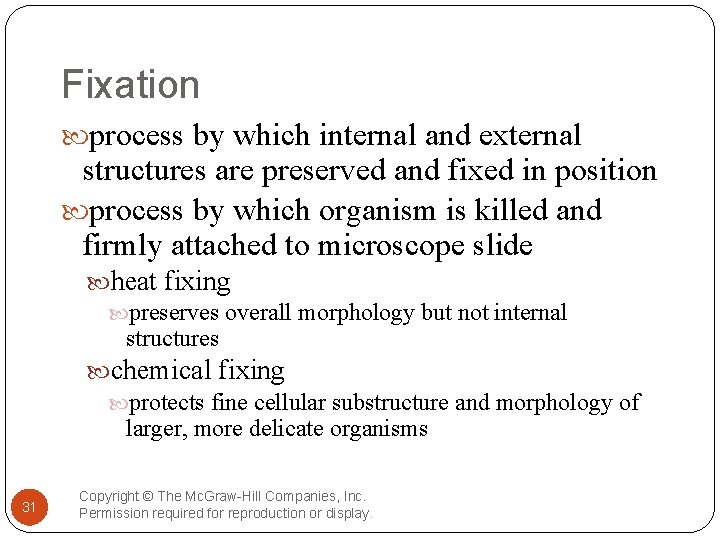Fixation process by which internal and external structures are preserved and fixed in position