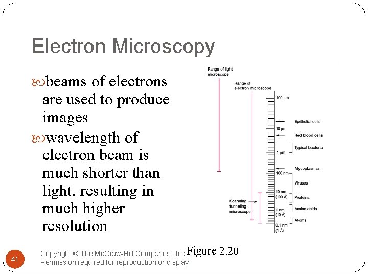 Electron Microscopy beams of electrons are used to produce images wavelength of electron beam
