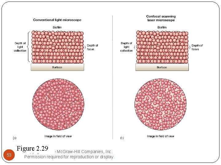 53 Figure 2. 29 Copyright © The Mc. Graw-Hill Companies, Inc. Permission required for