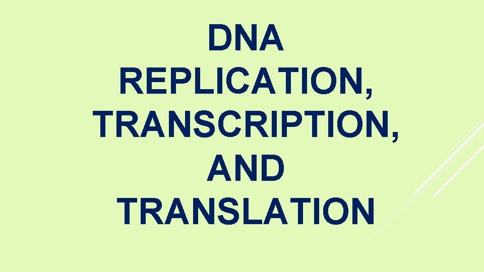 DNA REPLICATION, TRANSCRIPTION, AND TRANSLATION 