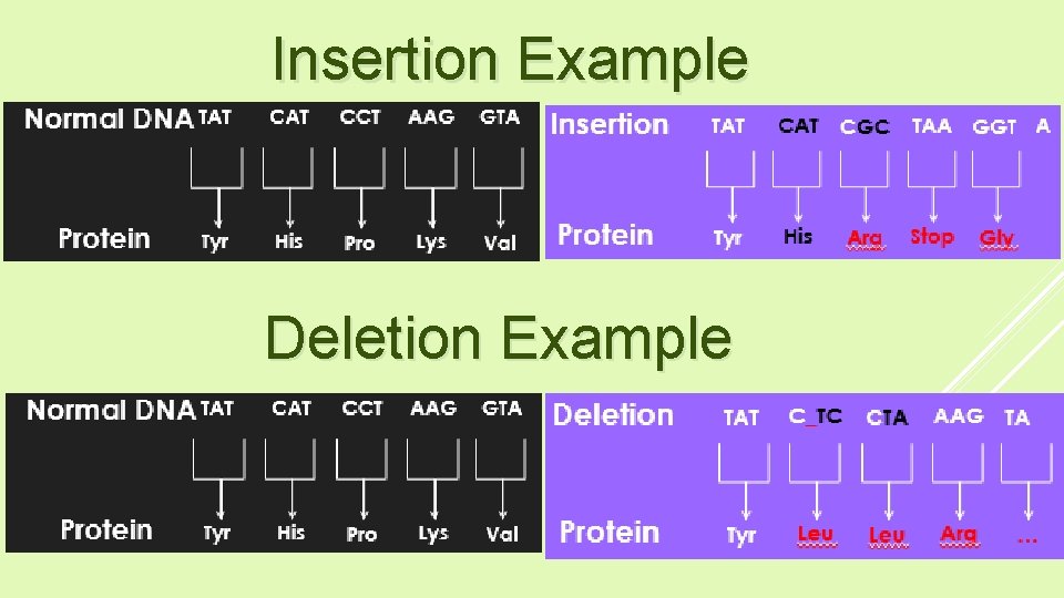 Insertion Example Deletion Example 