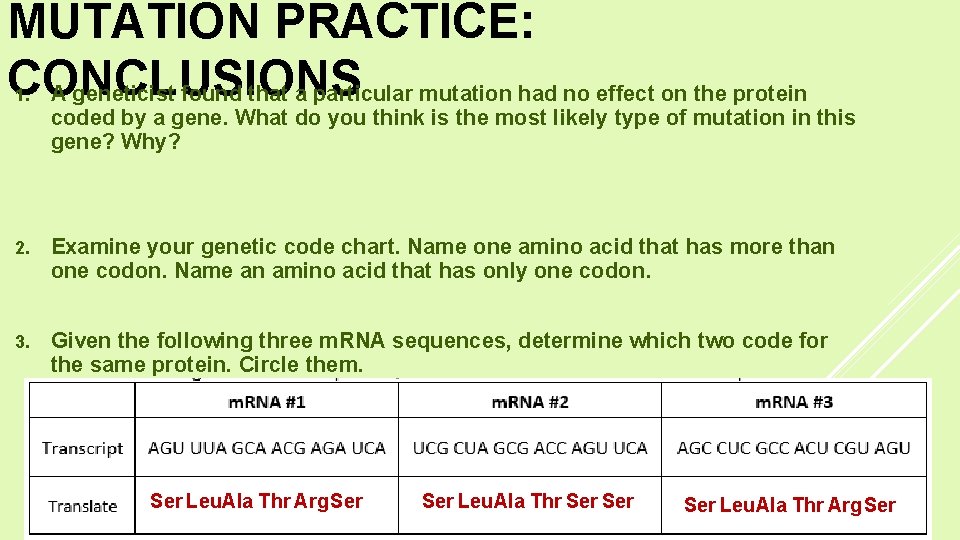 MUTATION PRACTICE: CONCLUSIONS A geneticist found that a particular mutation had no effect on