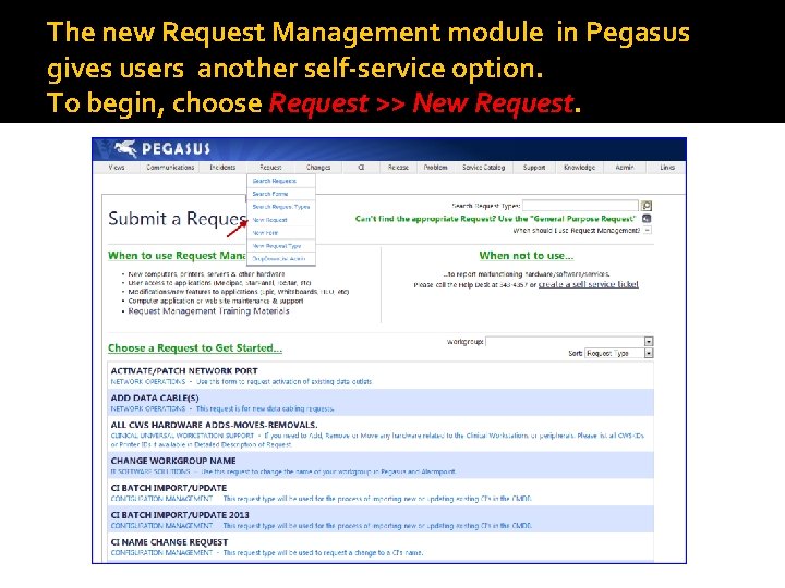 The new Request Management module in Pegasus gives users another self-service option. To begin,