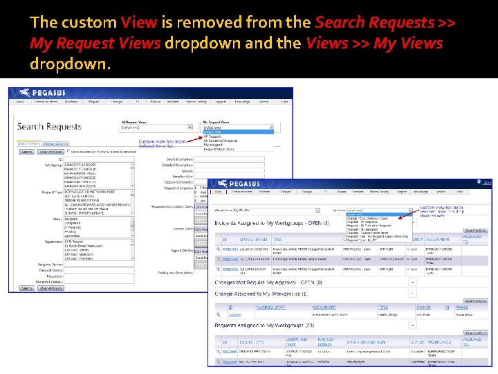 The custom View is removed from the Search Requests >> My Request Views dropdown