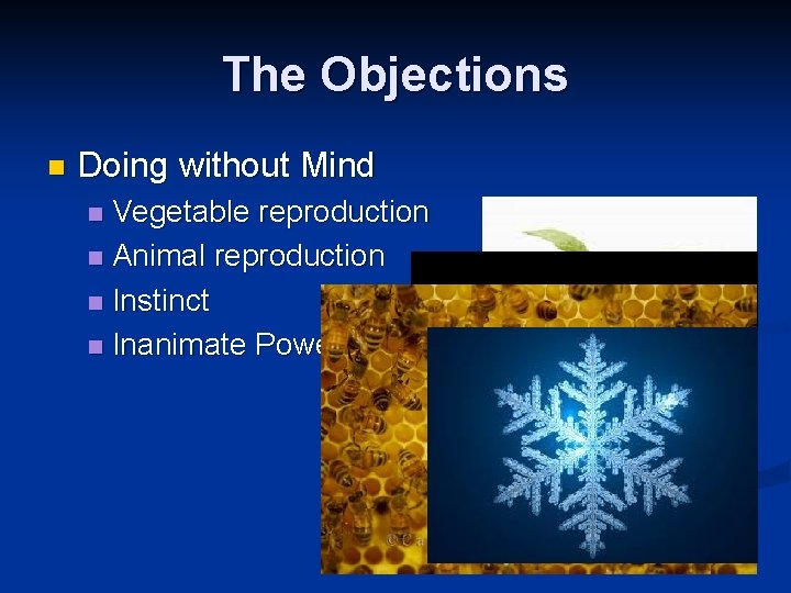 The Objections n Doing without Mind Vegetable reproduction n Animal reproduction n Instinct n