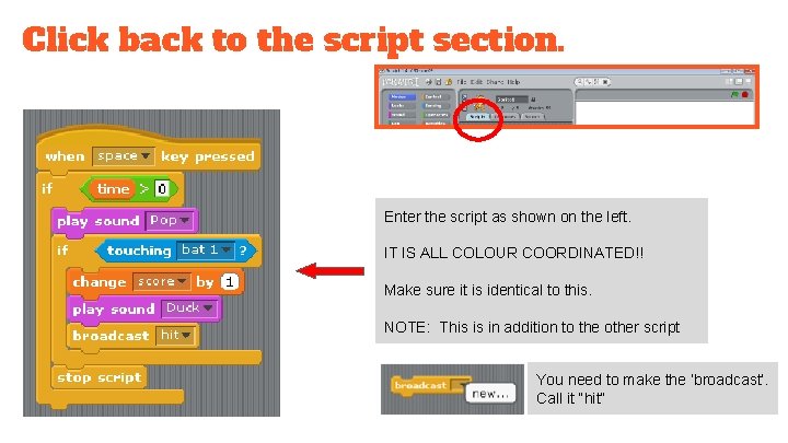 Click back to the script section. Enter the script as shown on the left.