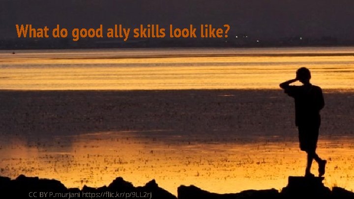 @frameshiftllc What do good ally skills look like? CC BY P. murjani https: //flic.