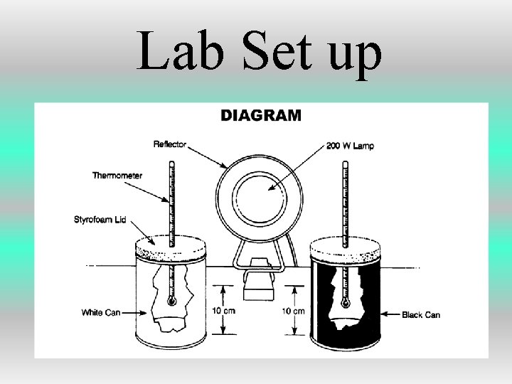 Lab Set up 