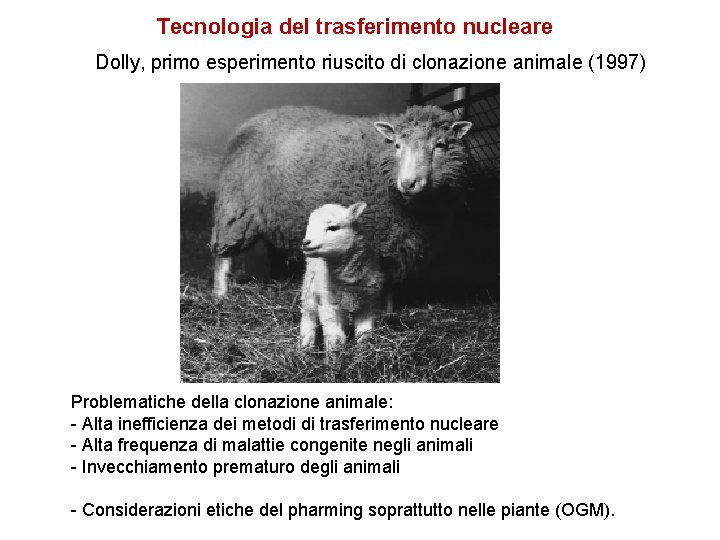 Tecnologia del trasferimento nucleare Dolly, primo esperimento riuscito di clonazione animale (1997) Problematiche della