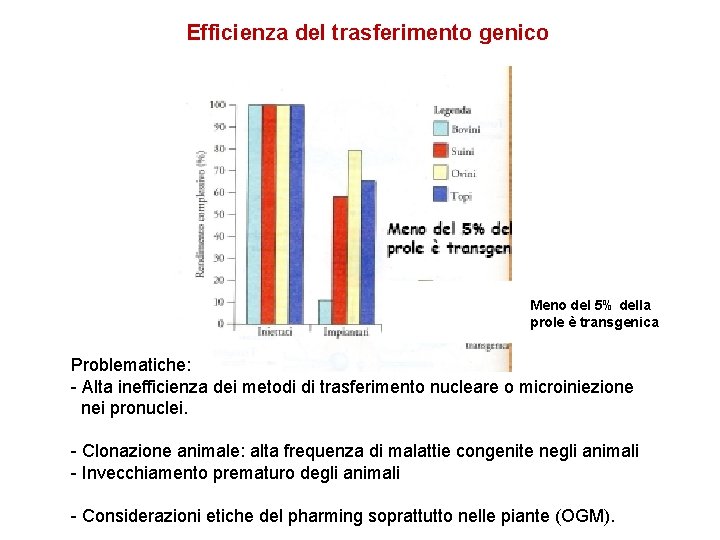 Efficienza del trasferimento genico Meno del 5% della prole è transgenica Problematiche: - Alta