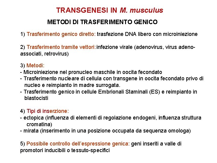 TRANSGENESI IN M. musculus METODI DI TRASFERIMENTO GENICO 1) Trasferimento genico diretto: trasfezione DNA