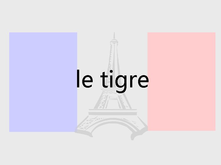 le tigre 