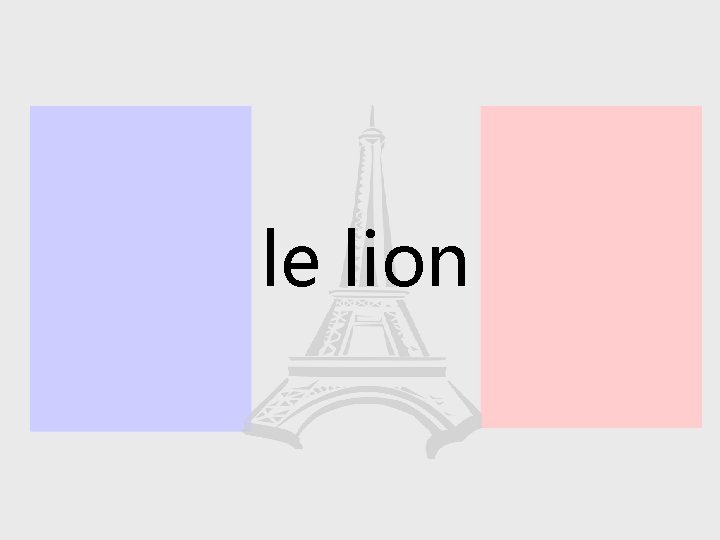 le lion 