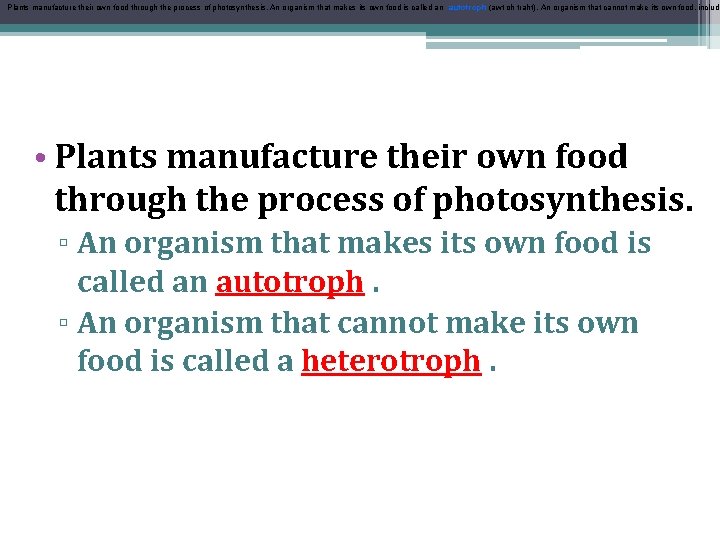 Plants manufacture their own food through the process of photosynthesis. An organism that makes