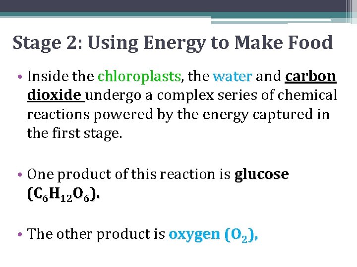 Stage 2: Using Energy to Make Food • Inside the chloroplasts, chloroplasts the water