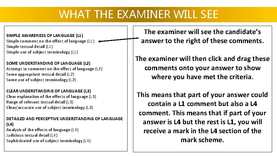 WHAT THE EXAMINER WILL SEE SIMPLE AWARENESS OF LANGUAGE (L 1) Simple comment on