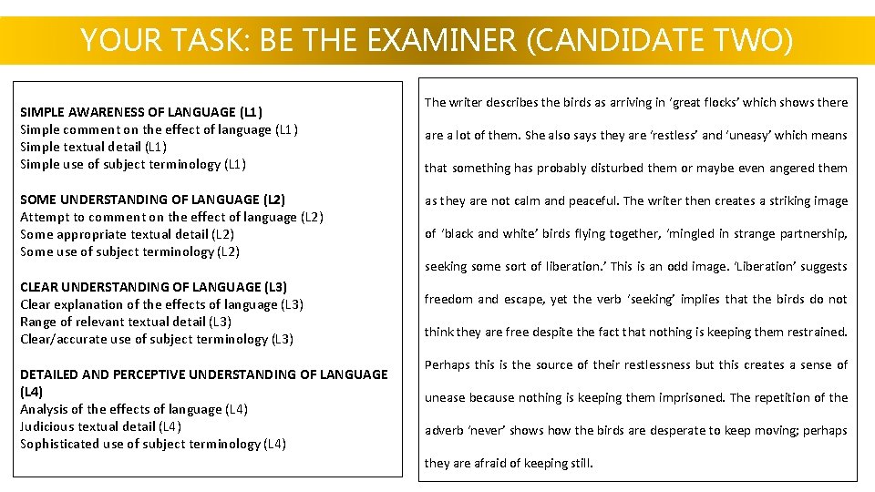 YOUR TASK: BE THE EXAMINER (CANDIDATE TWO) SIMPLE AWARENESS OF LANGUAGE (L 1) Simple