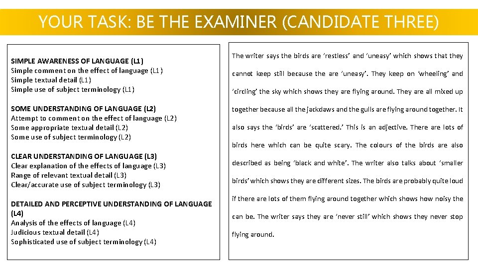 YOUR TASK: BE THE EXAMINER (CANDIDATE THREE) SIMPLE AWARENESS OF LANGUAGE (L 1) Simple