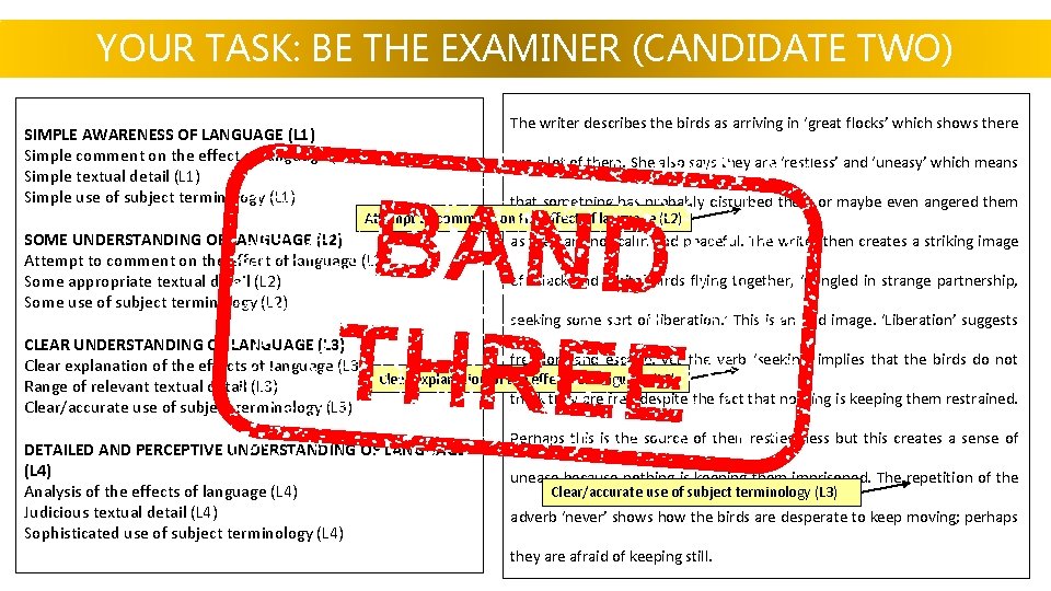 YOUR TASK: BE THE EXAMINER (CANDIDATE TWO) The writer describes the birds as arriving