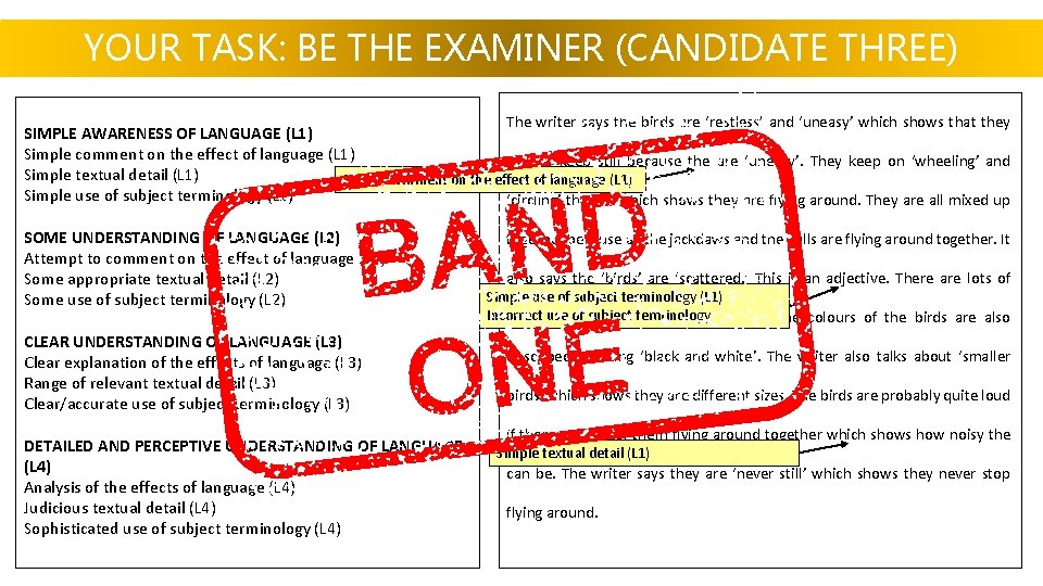 YOUR TASK: BE THE EXAMINER (CANDIDATE THREE) The writer says the birds are ‘restless’